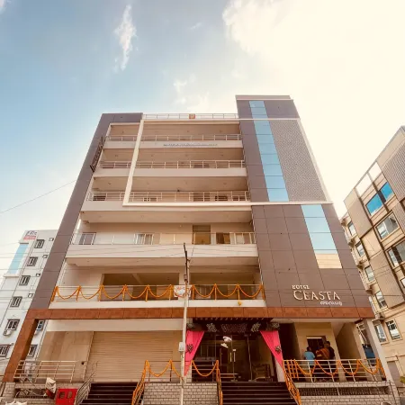 Hotel Ceasta Отели рядом с достопримечательностью «Оушен Парк»