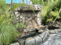 MI Oasis Getaway! Just 200 Steps to the Beach on a very quiet street - 4 stjerner