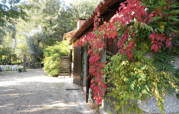 Gatao: Cottage in the begining of Douro very cosy and peaceful