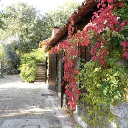 Gatao: Cottage in the begining of Douro very cosy and peaceful