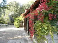 Gatao: Cottage in the begining of Douro very cosy and peaceful -  Privatzimmer