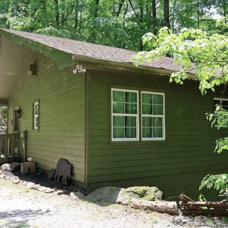 Mountain Resort Cabin with Outdoor Gas Firepit, and Mountain Stream!