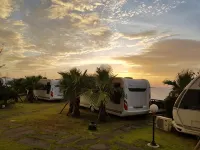 Jeju Platinum Caravan - صديق للحيوانات الاليفة