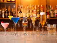Okazaki New Grand Hotel - bar