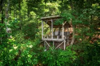Luxury Mountain Cabin Near Asheville/Spectacular Views/Private Hiking Trails - 샬레 호텔