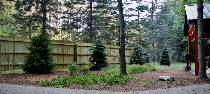 Gorgeous, Vintage, Crystal Mt Tiny Home Hotels in Manistee County