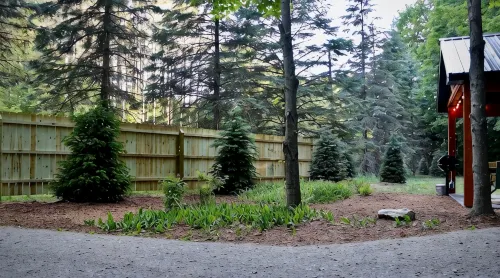 Gorgeous, Vintage, Crystal Mt Tiny Home - Chalets