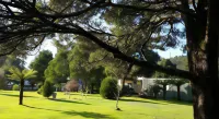 Zeehan Bush Camp