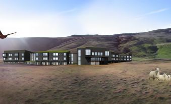 a large , modern building with a grassy field in front and mountains in the background at Fosshotel Glacier Lagoon