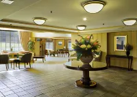 Comfort Suites Bwi Airport Hotel Hoteles en Linthicum