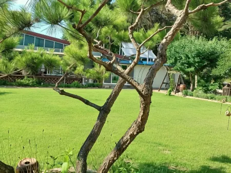 Private Pension Jeongwonchae