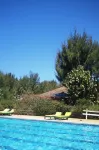 Diamarek Hotel Sur la Plage - Pools