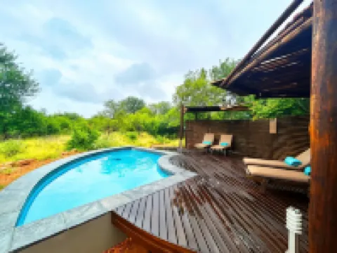 Wild Dog Guest Lodge