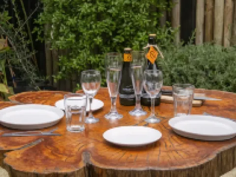 Viento Bravo Hotels in Cardenal Caro