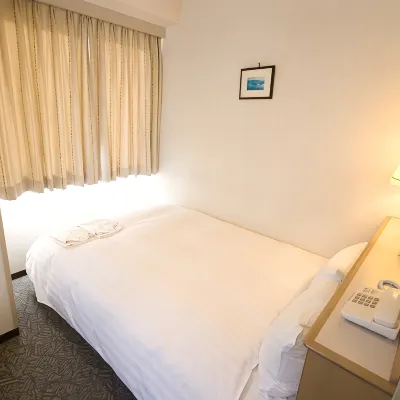 Hotel Park Inn Toyama Hotels in Toyama
