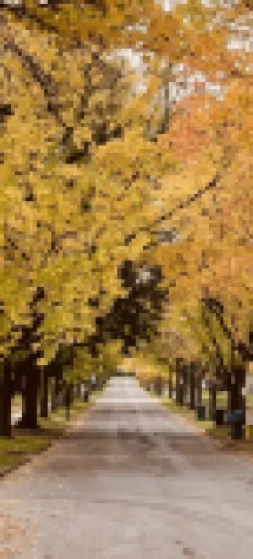 NEWLY RENOVATED home walking distance from<br>Strong Memorial Hospital