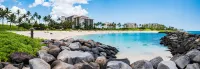 Promo Special! Get 1 Free Night! Ocean Views-Beach Tower