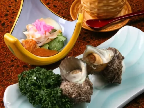 Hidetake Ryokan Hotels in 