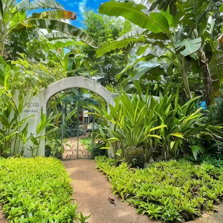 Coco Grove Beach Resort, Siquijor Island