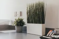 كوارتر باي وارين كوليكشن