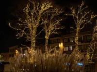 Hotel la Terrasse Hotels in De Panne