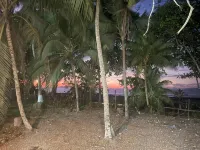 Macaw Paradise -  case vacanza in affitto