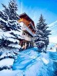 Alpe 1850  one- 8P-50 m from a lift- centre - acceptant les animaux