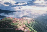 Sakura Valley Xiangkeju Chinese Inn