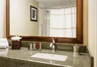 The National Landing Hotel Crystal City - Afhentnings-/afleveringstjenester