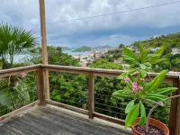 The Green Iguana Hotel