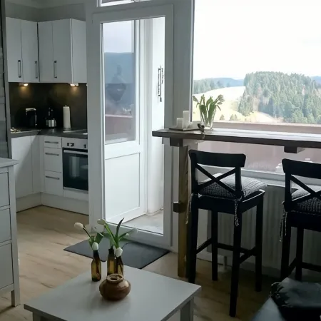 Top modern apartment Altenau in the Upper Harz