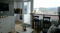 Top modern apartment Altenau in the Upper Harz