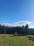 Secluded Little hideaway in the  beautiful mountains of Llanwonno.