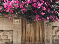 Lemon Tree Residence Hotels near British Council