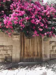 Lemon Tree Residence - Homestays
