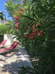 Mas de l'Ilon heated swimming pool spa shutter sauna 9 air-conditioned bedrooms 9 bathrooms wc - 農家樂