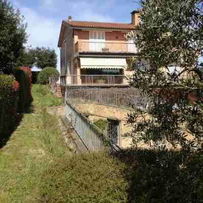Vacation home L'Ulivo in Tuscany, Hotel Exterior