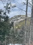 Cozy cabin in brilliant Lewis with WiFi, AC - Chalets