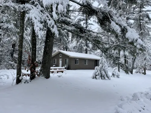 Escape to your own cabin with a private dock on the Petenwell Flowage. - Chalets