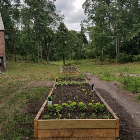 The Chicken Coop