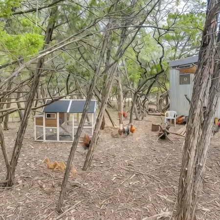 Cozy Modern Cabin wt Pool, Hot Tub, Fire pit and Goats, Alpacas, Chickens & Emus