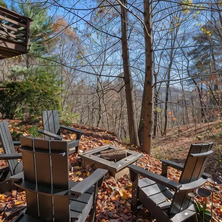 Serene, Secluded Cabin 5 Miles from the Biltmore and Downtown