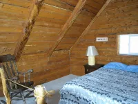 Brown Bear Saloon & Motel