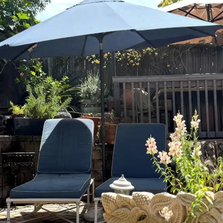 Ocean View Laguna Beach Cottage, Private Garden 700ft to 1000 Steps Beach Entry
