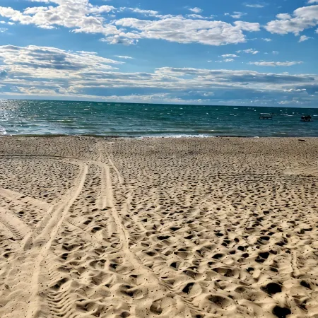 Hot Tub, pristine beach access, 2-bdrm cottage with AC, WiFi near Port Austin #2