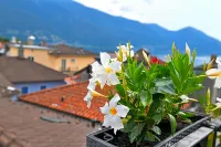 Hotel Garni Golf - Mountain view