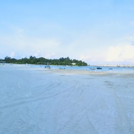 La Isla Tropica