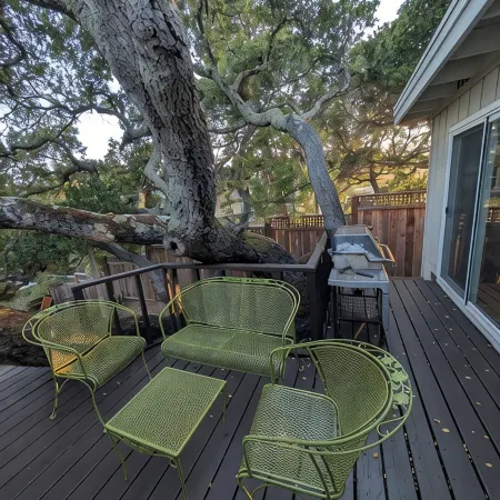 2Br Belmont Treehouse Near SFO, Caltrain & Levi's