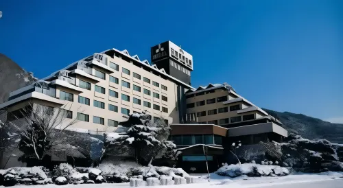 Danyang Tourist Hotel Edelweiss - internet