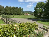 Peaceful, Cosy Cottage in the  Forest of Dean Overlooking Common Land. - Wifi